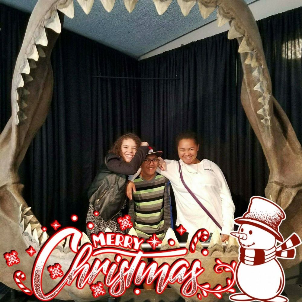 Meet your Posher, Marie